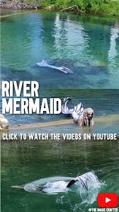Image result for real mermaid