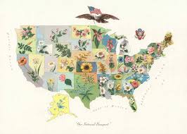 This is a list of u.s. Flower Map Print Of The United States Our National Etsy Flower Map Poster Wall Art Map Print