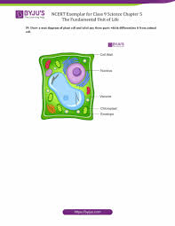Draw a labelled diagram of a prokaryotic cell. Ncert Exemplar Class 9 Science Solutions Chapter 5 The Fundamental Unit Of Life Download Free Pdf