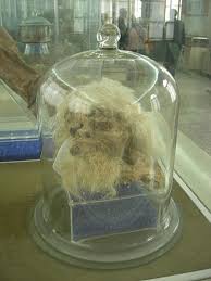 Preserved by Nature: Studying the Spectacular Salt Mummies of Iran |  Ancient Origins