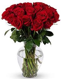 1 quart water + 2 tablespoons lemon juice + 1 tablespoon sugar + 1/2 teaspoon bleach. Pin On Home Lifestyle