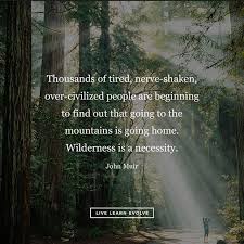 100 Zen Proverbs To Help You Master Life Do You Have A Nature Deficit Wilderness Is Necessary Zen Proverbs Nature Quotes Nature Quotes Trees