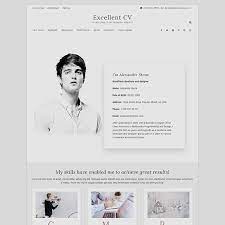 Divi theme and divi builder (plugin). 14 Free Wordpress Resume Themes For Cv And Resume Websites