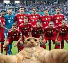 Happy Internationalcatday Look Who Decided To Pay Us Another Visit Miasanmiau Fcbayern Catsofinsta International Cat Day Bayern Cats Of Instagram