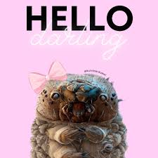 Image result for Demodex folliculorum