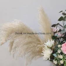 These flowers can be offered in different shapes and sizes. China Boho Bridal Bouquet Made With Sola Wood Flowers Dried Bunny Tails Grass Gypsy Grass And Faux Pampas Grass China Pampas Grass And Pampas Grass Decor Price