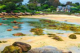 Annonces Gratuites Vente Terrain Loisirs Cabanons Bretagne Normandie
