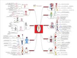 Complete 3d human body is an instructive application that enables you to inspect a 3d imitation of the human body. Human Body Systems Mindgenius Mind Map Template Biggerplate