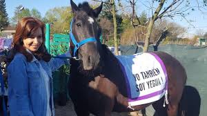Resultado de imagen para cristina y la yegua fotos