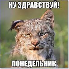 Мемы с волками создают, чтобы поиронизировать над якобы глубокомысленными вы могли находить мемы, где пользователи социальных сетей стали отвечать на вопросы много лет. Kto Sostavlyal Bolshinstvo Rabochej Sily V Amerike V 18 Veke Shkolnye Znaniya Com