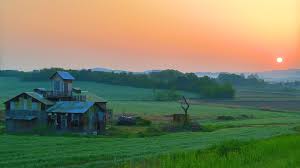 Din verificarile mele, cele mai apreciate de. Top 5 Idei De Afaceri Profitabile In Agricultura Din Romania