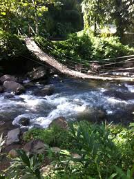 Pin By Miss Rain On There Is No Place Like Home Beautiful Places Saint Vincent And The Grenadines Favorite Places Going on vacation to st. saint vincent and the grenadines