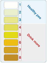 Is dehydration a sign of pregnancy. How Much Water Should I Drink In Pregnancy Tommy S