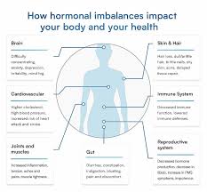 Image result for Higher Integrative Function