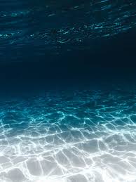 Maybe you would like to learn more about one of these? 100 Underwater Images Download Free Images Stock Photos On Unsplash