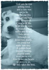 She stated that her husband had taken her hand and along with the old dog told her he. Pin By Rhonda Schrack Collins On Furry Friends Dog Poems Dog Loss Quotes Animal Quotes