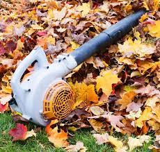 4 Options For Fall Leaf Removal Autumn Leaves Fall Photos Fall