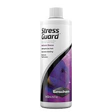 How to euthanize a fish. How To Euthanize A Fish Humanely Reef Tank Resource