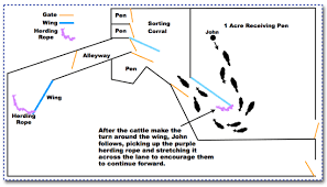 Maybe you would like to learn more about one of these? Enhanced Livestock Handling Facilities For The Single Man Woman With Or Without Short Legs On Pasture
