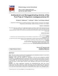 Image result for Trilepisium madagascariense