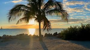 Pikbest have found 162 great beach hd backgrounds images for personal and commercial use. 10 000 Best Beach Videos 100 Free Download Pexels Stock Videos