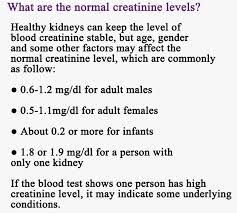 Normal Blood Levels Normal Blood Sigar Levels