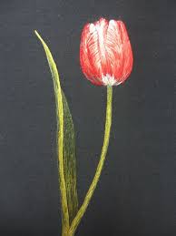 Thread Painting And Silk Shading Embroidery Techniques And Projects Atsumi F I Tulip Embroidery With Silk Shading Japanese Embroidery Embroidery Flowers Pattern Embroidery Art