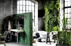Las plantas en casa limpian el ambiente y regulan la humedad. Plantas Para Decorar El Bano Decoora