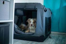 Auch für drinnen wird komplett in handarbeit hergestellt. Hundebox Vielseitig Einsetzbar Und Unverzichtbar