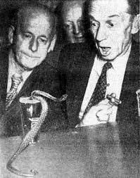 This snake was a real one!