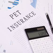 Check spelling or type a new query. Penasquitos Pet Clinic Pet Insurance Penasquitos Pet Clinic