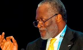 Présidentielle Camerounaise : L'autre promesse de Me Akere Muna