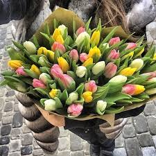 Pin On Beautiful Flowers And Plants