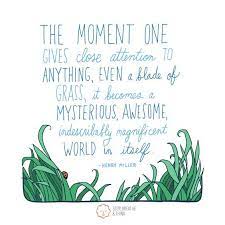 The Moment One Gives Close Attention To Anything Even A Blade Of Grass It Becomes A Mysterious Awesom Mindfulness Practice Encouragement Quotes Mindfulness