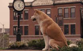 Hachiko monogatari de 1987, es un film japonés que narra la historia del perrito akita inu. The Film Sufi Hachi A Dog S Tale Lasse Hallstrom 2009