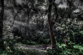 Toate acestea pot fi găsite pe teritoriul românesc şi pot deveni un adevărat magnet pentru turişti. Vrei O Excursie SpecialÄƒ AflÄƒ Care Sunt Cele Mai Misterioase Locuri Din Romania DeÈ™tepÈ›i Ro
