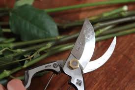 Whether you're dealing with a rusty pair of garden scissors, pruning shears, garden knives, shovels, or other garden tools, you will soon know how to solve this annoying problem. How To Clean And Care For Garden Pruners And Secateurs