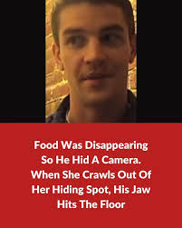 Food Was Disappearing So He Hid A Camera. When She Crawls Out Of Her Hiding  Spot, His Jaw Hits The Floor: https://bit.ly/43dAsnw