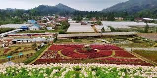 Google has many special features to help you find exactly what you're looking for. 5 Destinasi Wisata Di Purbalingga Yang Wajib Anda Kunjungi Semua Halaman Sonora Id