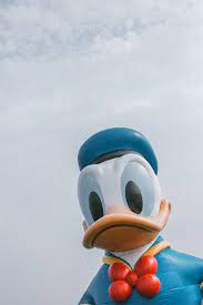Cartoons donald duck wallpaper windows. 500 Donald Duck Pictures Hd Download Free Images On Unsplash