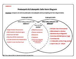 Pin On Study Of Cells
