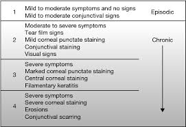 Flow Chart On Surgical Approaches To Dry Eye Semantic Scholar