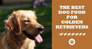 This food also contains roast quail, roast duck, smoked turkey, and ocean fish meal. The Ultimate List Best Dog Food For Golden Retriever