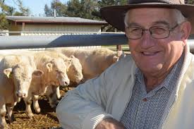 Cow and calf to $2150 at Grafton