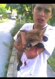 The Man Who Saved a Hurt Fox and Became Its Best Friend😘 In the quiet  corners of nature, the most unexpected friendships can form. This image  captures more than just a tender