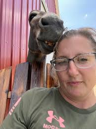 I'm partial to Buddy and he knows it 😂 #donkeys #Arkansas #farmanimals