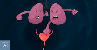 It is called stress incontinence. Urinary Incontinence When Coughing Asthma Net