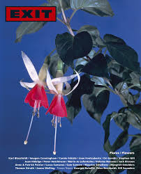 Located in waimanalo, studio hours and consultations are by appointment only. Exit 28 Flores Flowers