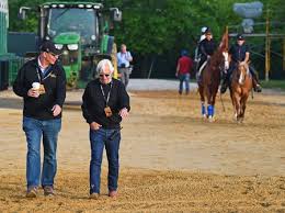 Preview Road To Preakness Has Been Most Improbable Bloodhorse