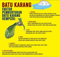 Bertahun menghidap batu karang hempedu + buah pinggang sehingga menyebabkan gout. Batu Karang Hempedu A K A Project Nutruo By Cik Wa Facebook